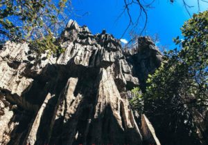 Les Tsingy de l'Ankarana