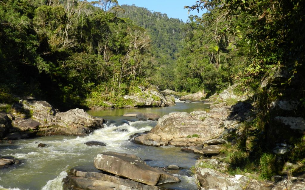 Namorona river in Ranomafana Namorona river in Ranomafana