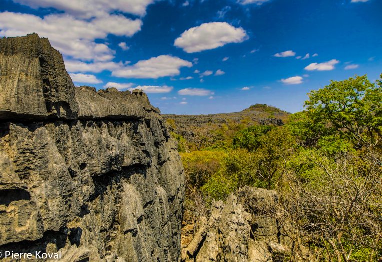 Tsingy Ankana 6 -50euros.200.000ar