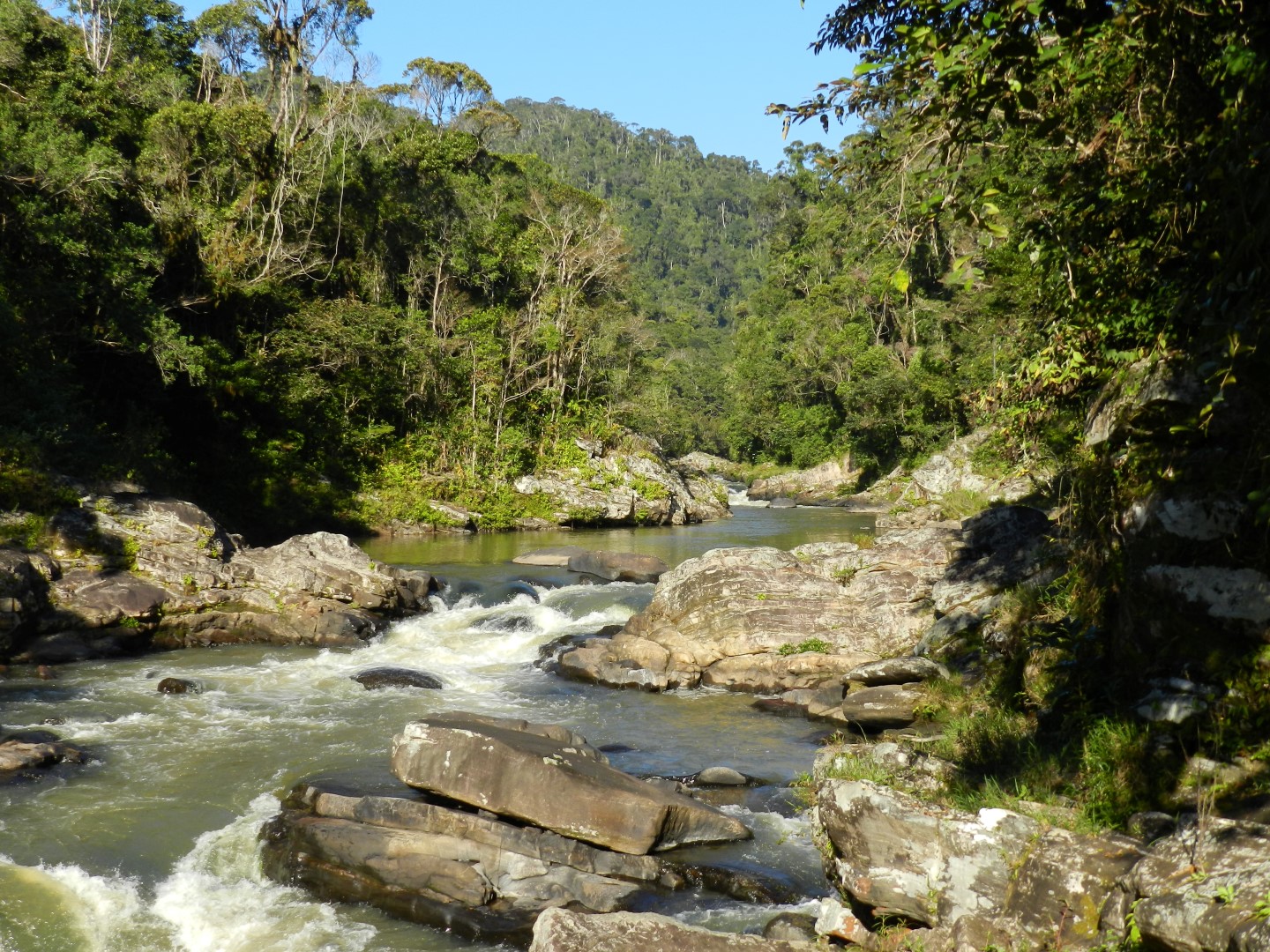 Namorona river in Ranomafana